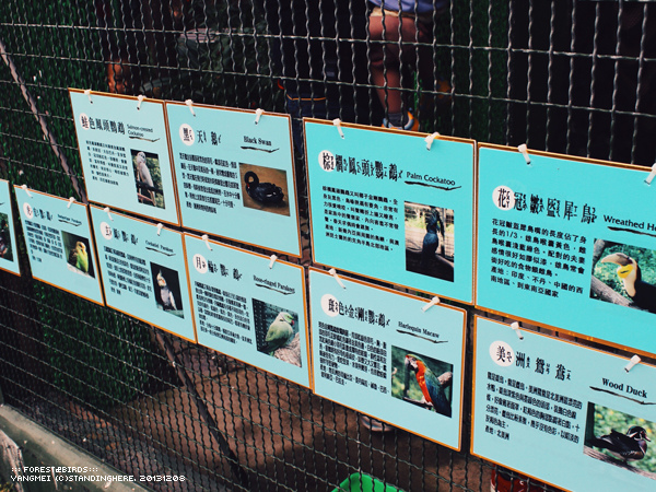 森林鳥花園46.jpg