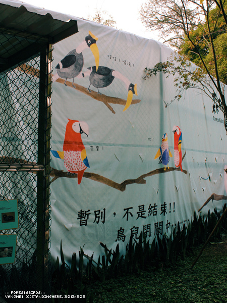 森林鳥花園71.jpg