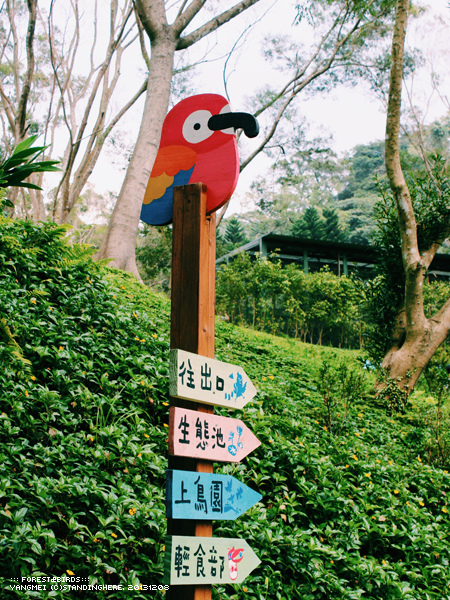 森林鳥花園75.jpg