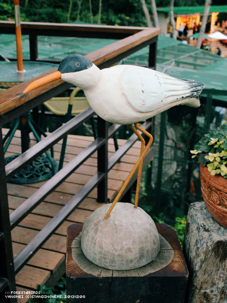 森林鳥花園99.jpg