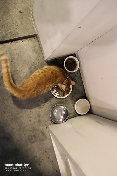 toast_chat-42.jpg toast_chat-42.jpg