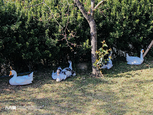 八方園_42.JPG 八方園_42.JPG