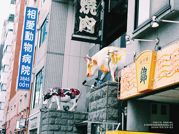 1-049.jpg 1-049.jpg