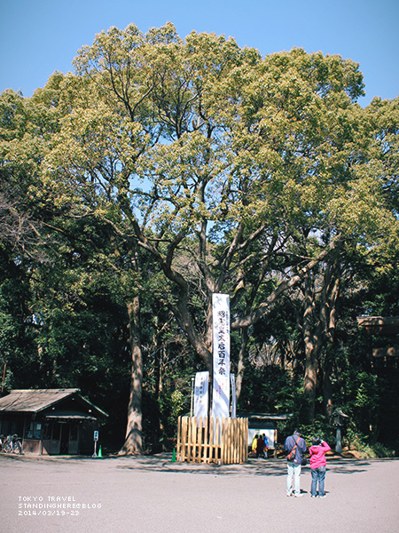 明治神宮-007.jpg