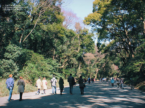 明治神宮-011.jpg