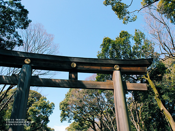 明治神宮-027.jpg