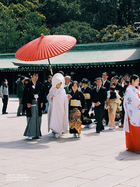 明治神宮-069.jpg