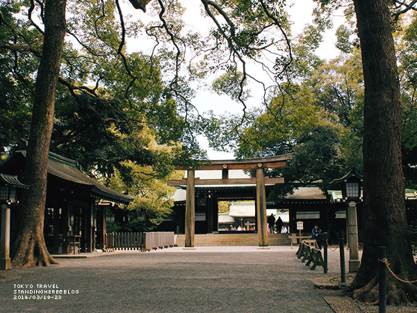 明治神宮-083.jpg