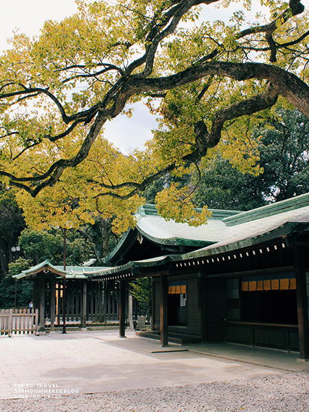 明治神宮-088.jpg