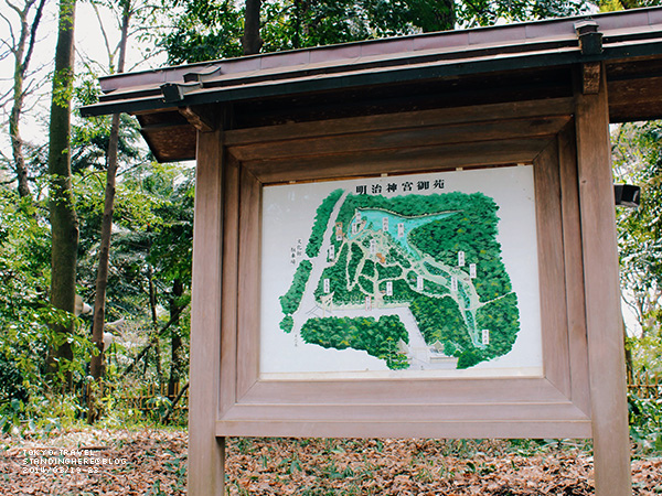明治神宮-094.jpg