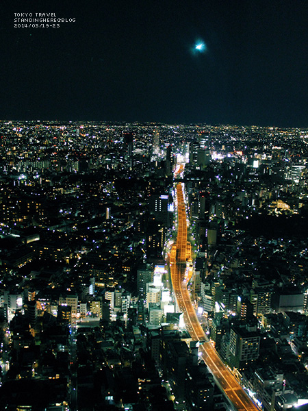 六本木-284.jpg