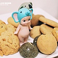 cookieland-6.jpg