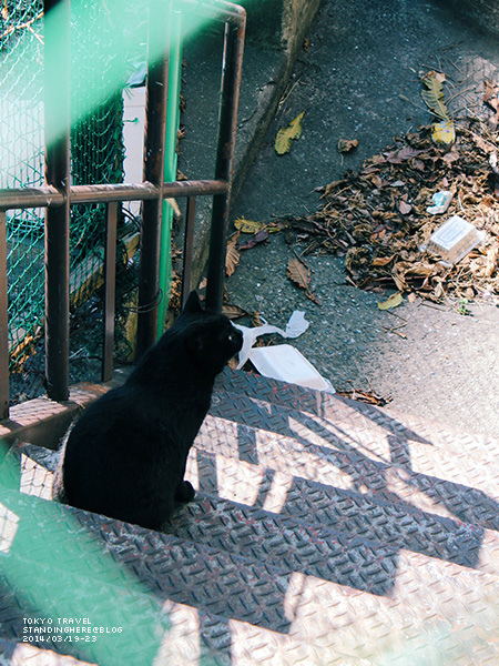 築地-51.jpg