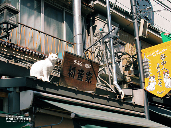 谷根千-116.jpg