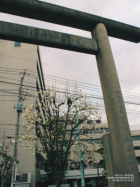 谷根千-293.jpg 4-293.jpg
