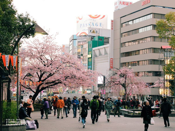 東京 上野-323