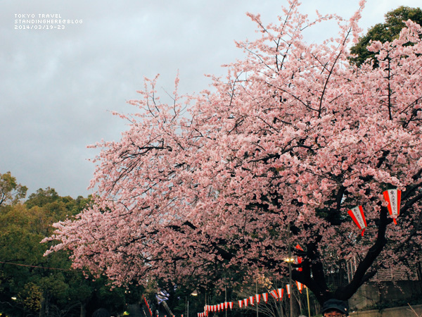 東京 上野-351