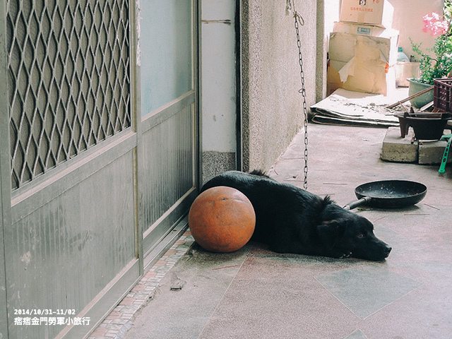 金門-183 金門-183