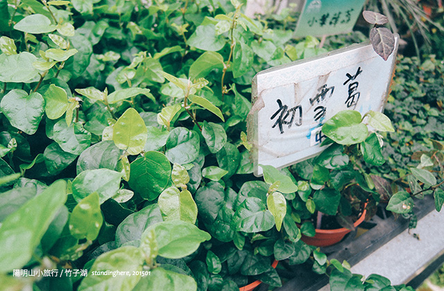 芭樂嫂甘味坊-25 芭樂嫂甘味坊-25