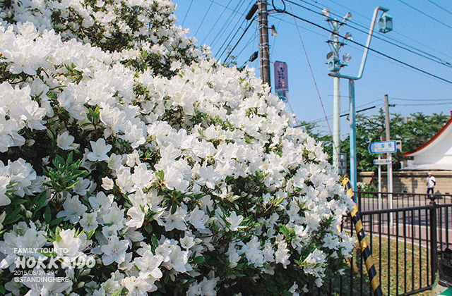 北海道-五稜郭-071