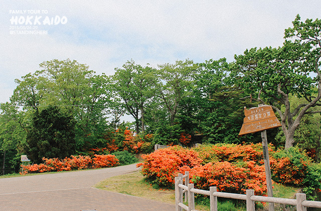 北海道-大沼國定公園-122