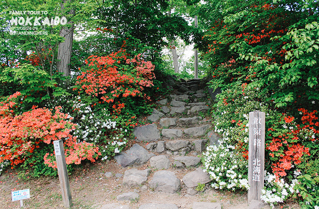 北海道-大沼國定公園-156