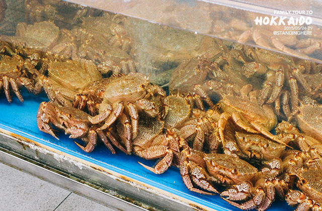 北海道-9 北海道-9