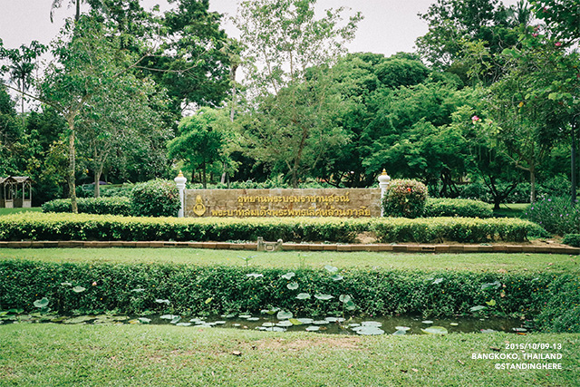 270.jpg 270.jpg