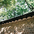 127.jpg