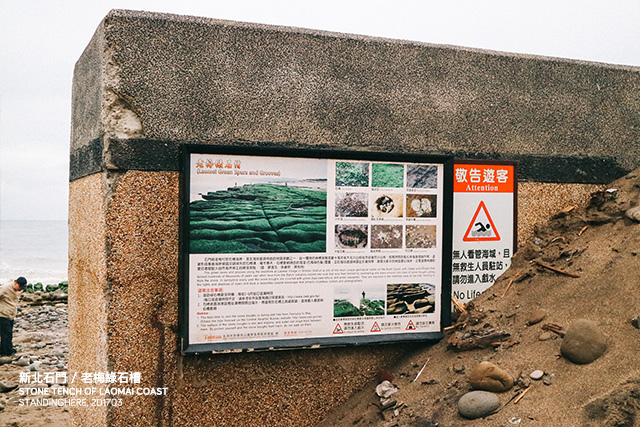 新北石門老梅綠石槽-31 新北石門老梅綠石槽-31