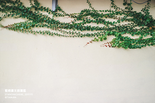 台南藍晒圖-25 台南藍晒圖-25