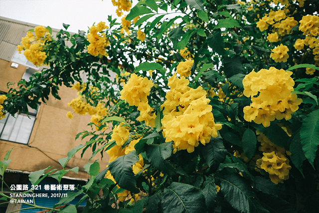 321巷藝術聚落-01 321巷藝術聚落-01