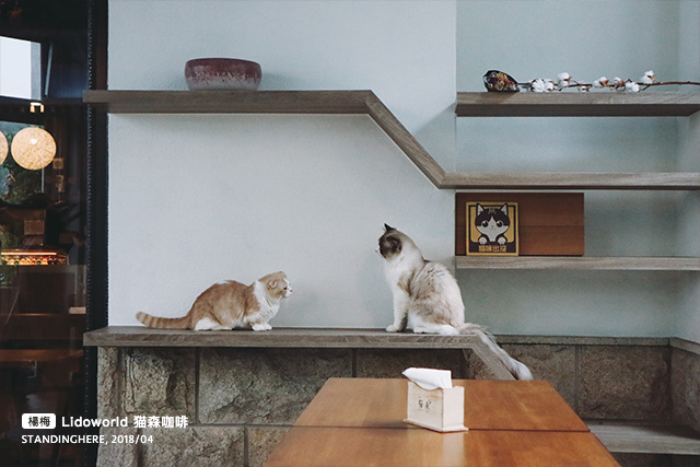 楊梅-猫森-29 楊梅-猫森-29