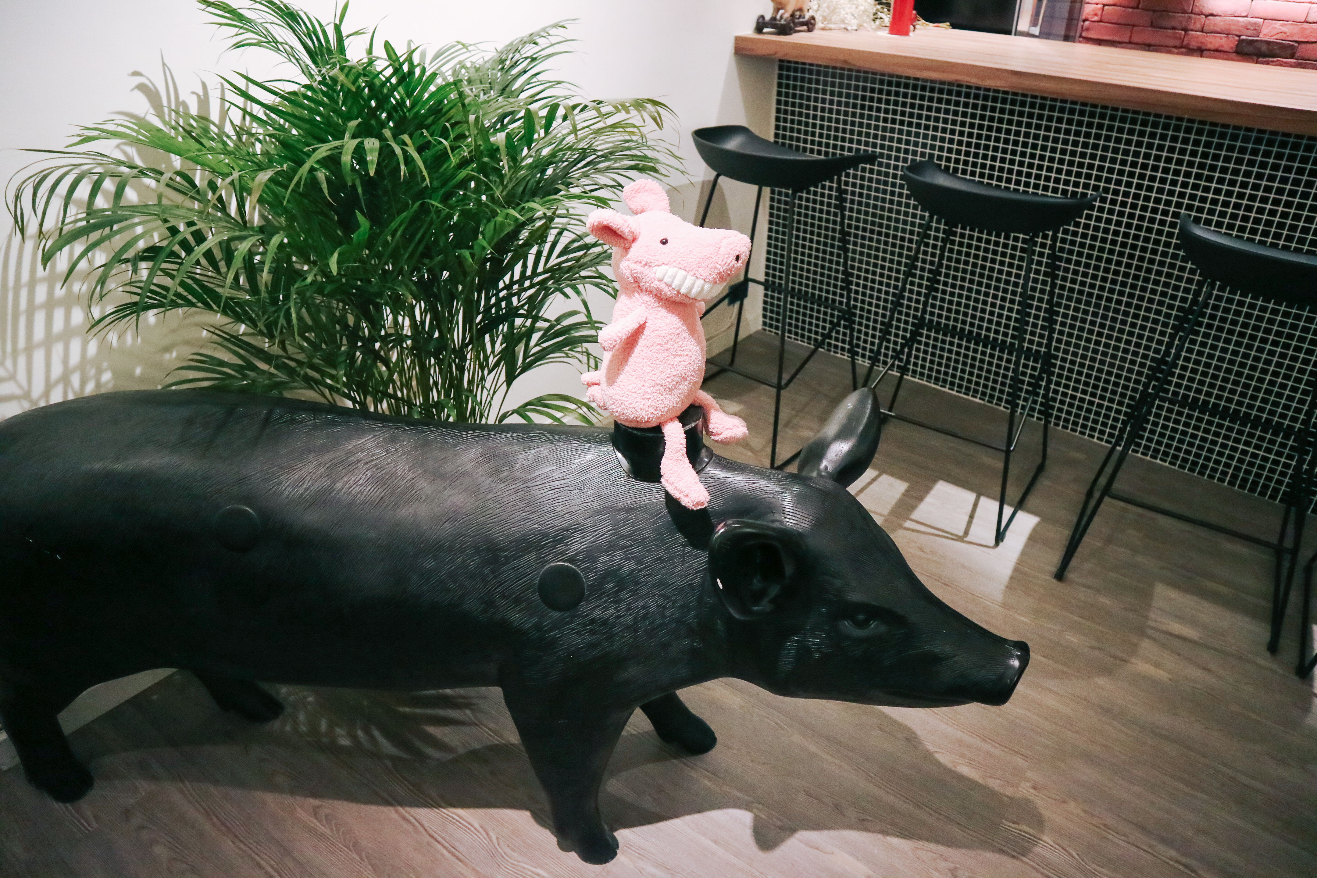豬跳舞-dancingpig-pig-26 豬跳舞-dancingpig-pig-26
