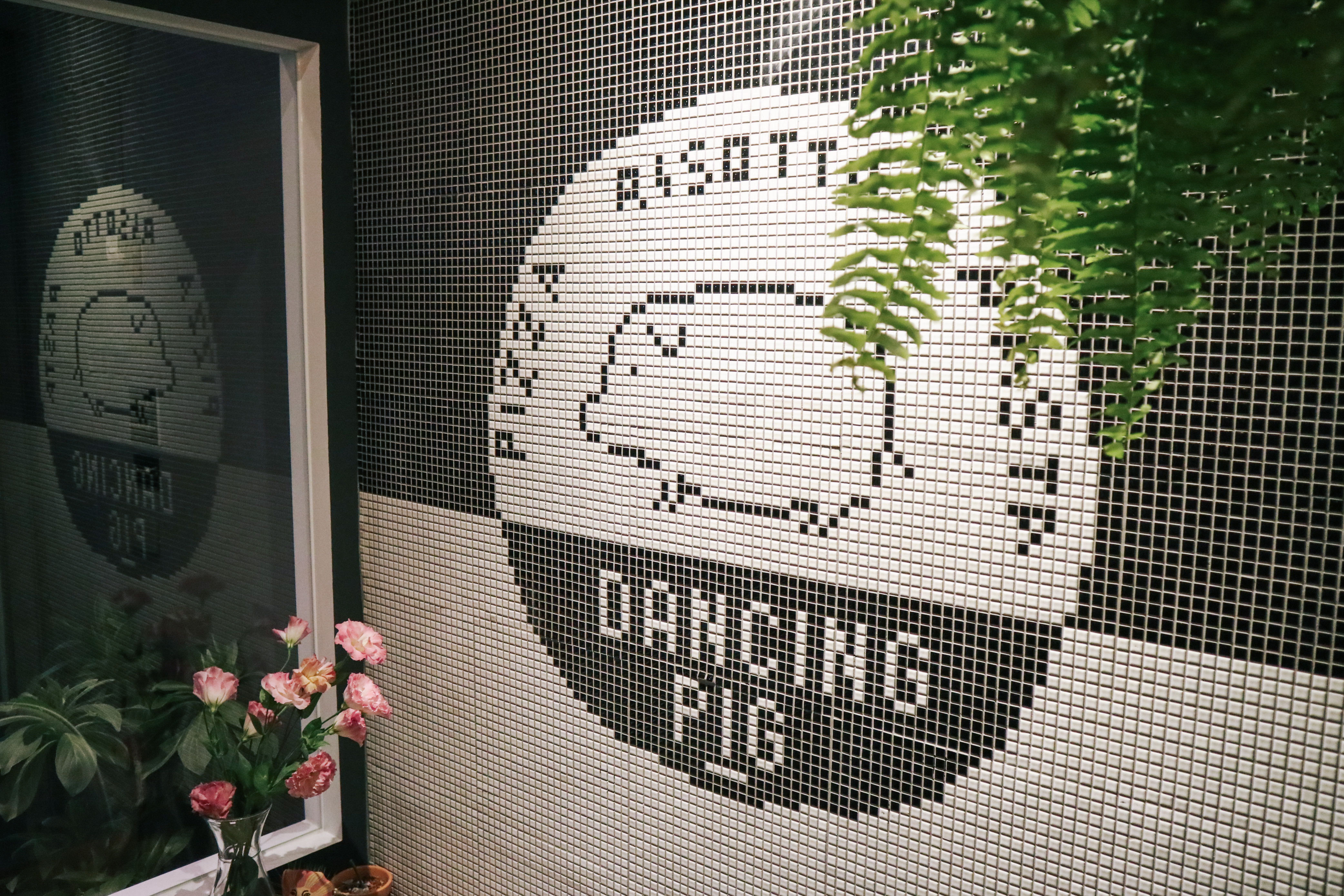 豬跳舞-dancingpig-pig-28 豬跳舞-dancingpig-pig-28