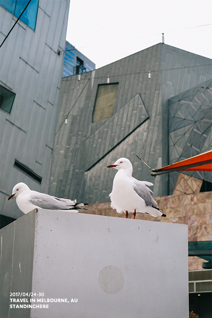 墨爾本city_3116 墨爾本city_3116.jpg