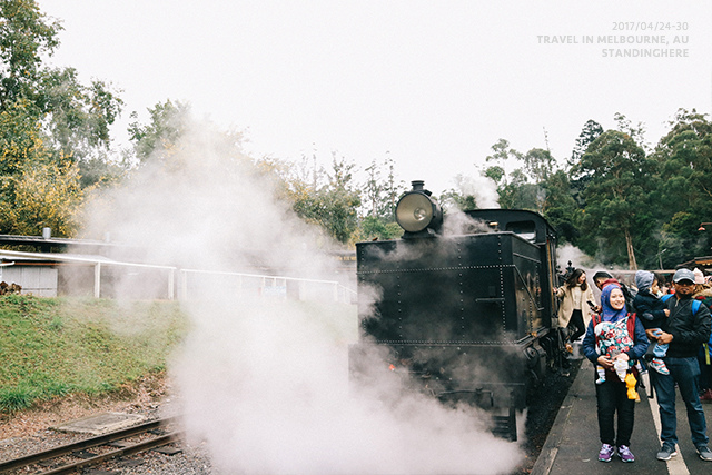 澳洲墨爾本-localtour-7035 澳洲墨爾本-localtour-7035