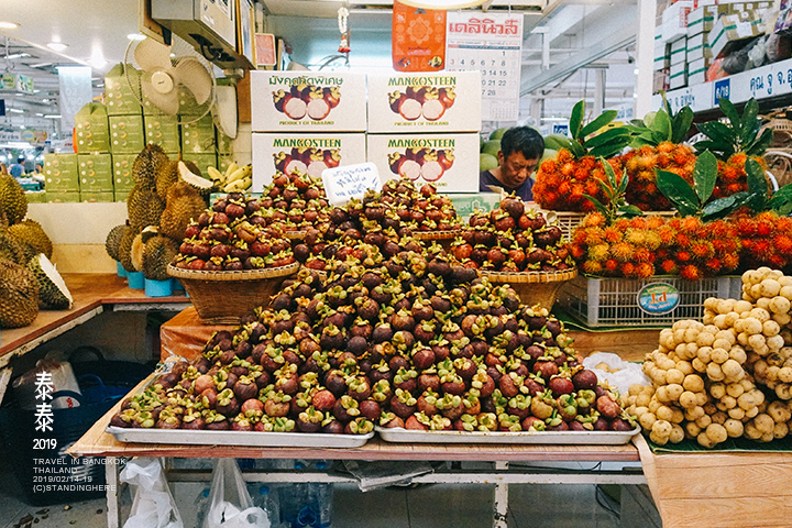 泰國曼谷-Or Tor Kor Market-305