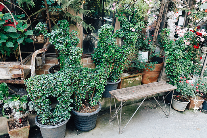 b-story-cafe-1277 b-story-cafe-1277
