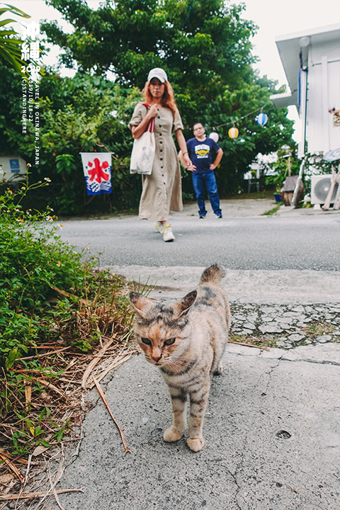 沖繩_港川外人住宅_8