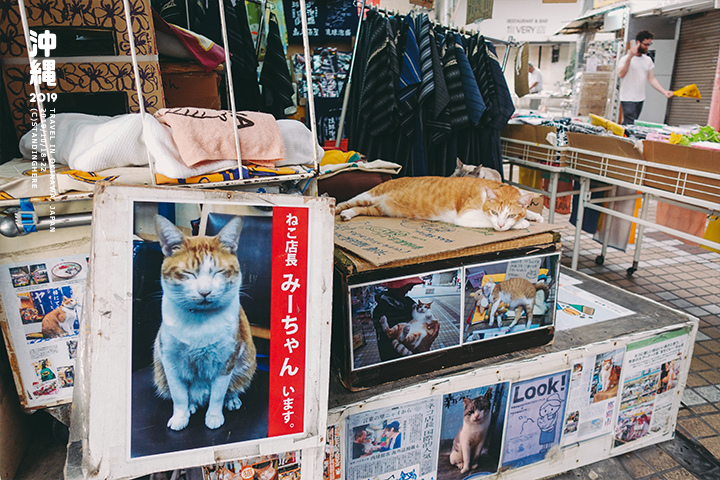 沖繩那霸-商店街-4-2-21 沖繩那霸-商店街-4-2-21.jpg