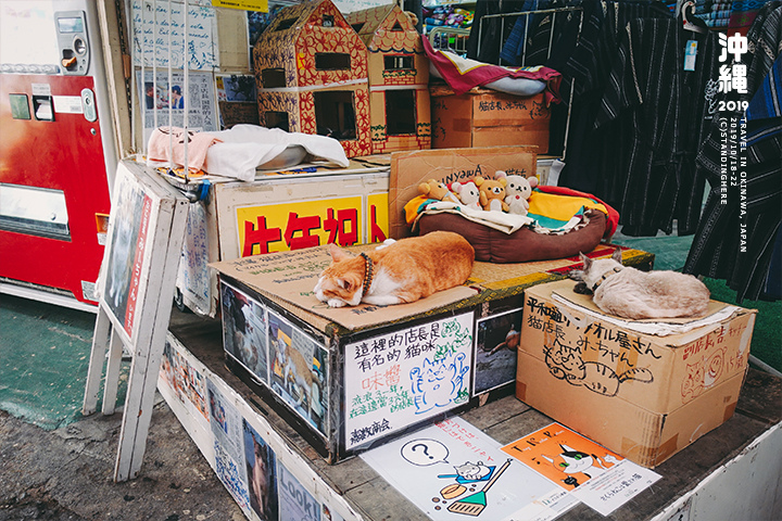 沖繩那霸-商店街-4-2-19 沖繩那霸-商店街-4-2-19.jpg