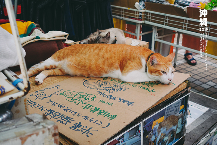 沖繩那霸-商店街-4-2-22.jpg