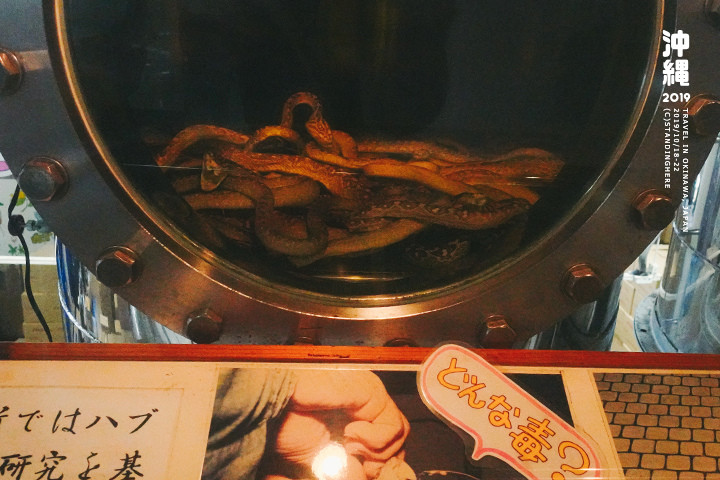 沖繩世界王國村玉泉洞-5-2-64 沖繩世界王國村玉泉洞-5-2-64