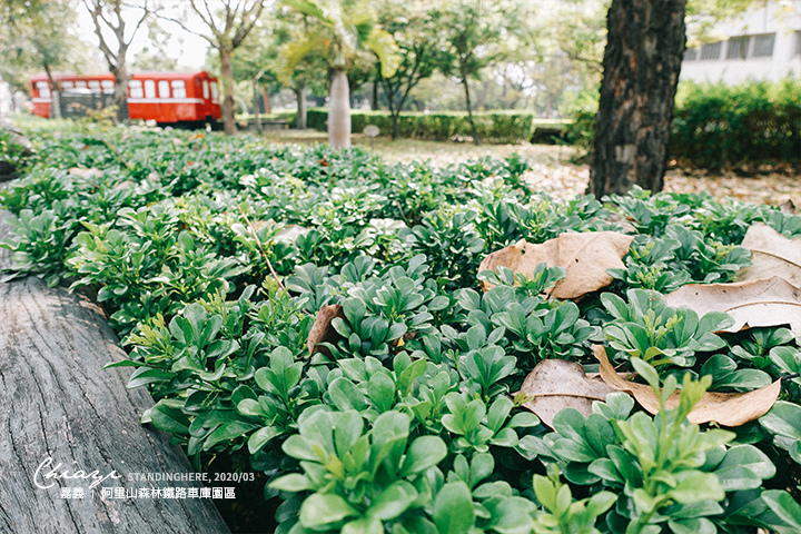 嘉義市區景點-01 嘉義市區景點-01
