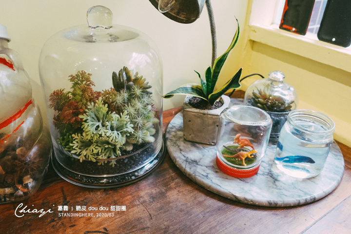 嘉義-doudou-脆皮甜甜圈-22 嘉義-doudou-脆皮甜甜圈-22