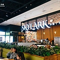 05.jpg