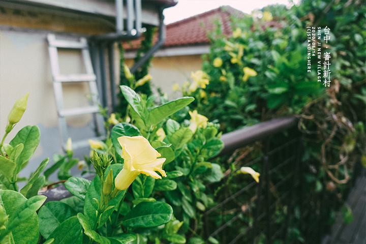 台中_審計新村_17