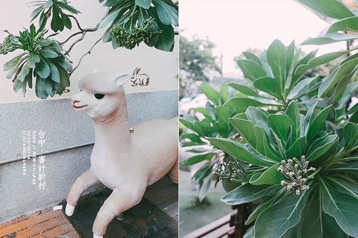 台中_審計新村_47 台中_審計新村_47