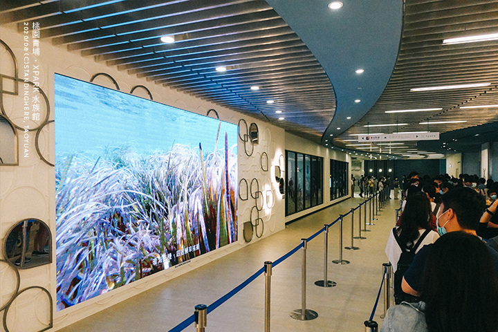 桃園青埔-XPARK水族館-02 桃園青埔-XPARK水族館-02